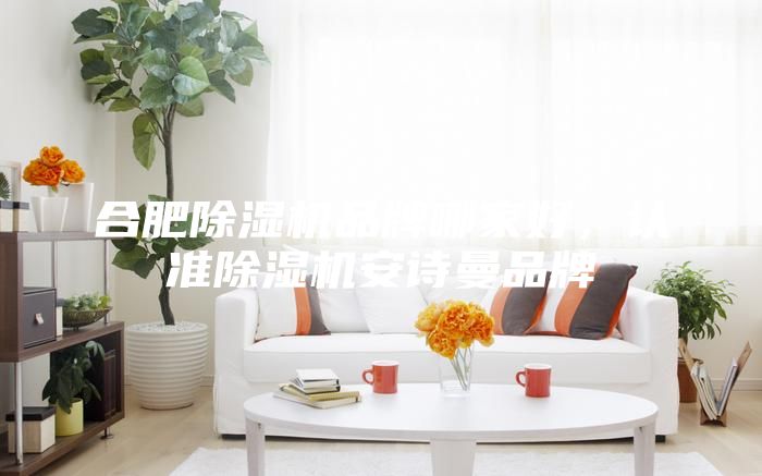 合肥除濕機品牌哪家好，認準除濕機安詩曼品牌