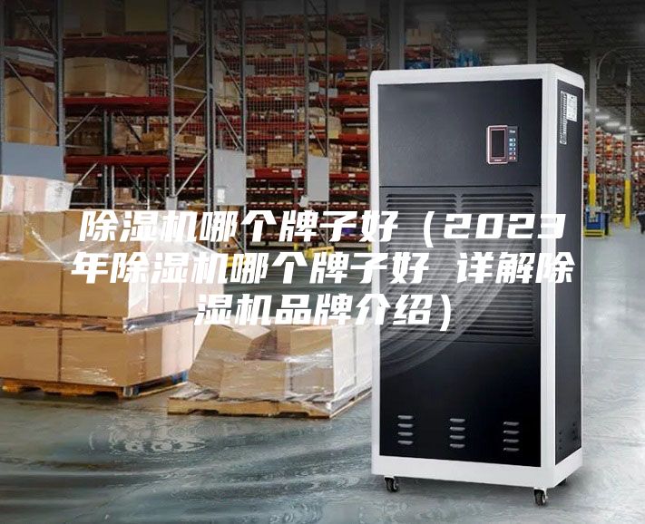 除濕機(jī)哪個(gè)牌子好(2023年除濕機(jī)哪個(gè)牌子好 詳解除濕機(jī)品牌介紹)