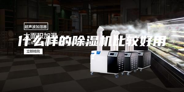 什么樣的除濕機比較好用?