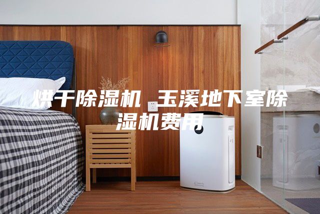 烘干除濕機(jī) 玉溪地下室除濕機(jī)費(fèi)用
