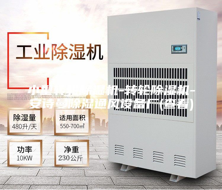 小型轉(zhuǎn)輪除濕機-轉(zhuǎn)輪除濕機-安詩曼除濕通風設備廠(查看)