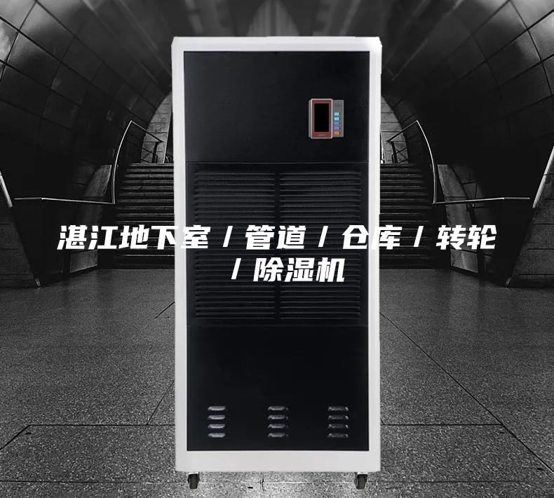 湛江地下室/管道/倉庫/轉(zhuǎn)輪/除濕機(jī)