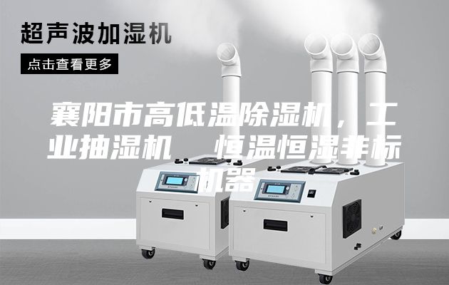 襄陽市高低溫除濕機,工業抽濕機 恒溫恒濕非標機器