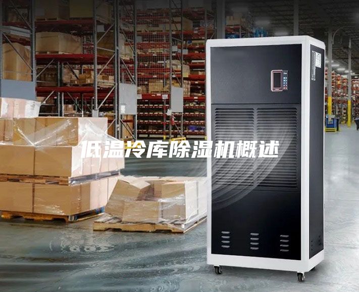 低溫冷庫(kù)除濕機(jī)概述