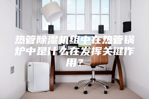 熱管除濕機(jī)組中在熱管鍋爐中是什么在發(fā)揮關(guān)鍵作用?