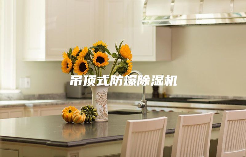 吊頂式防爆除濕機