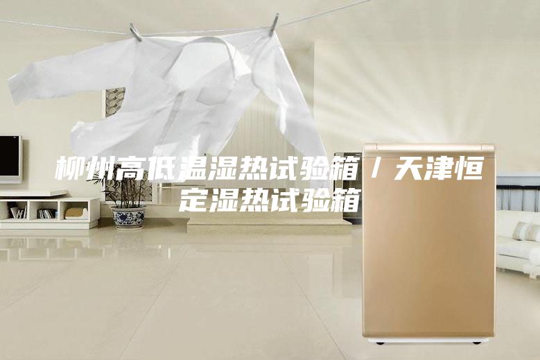 柳州高低溫濕熱試驗箱/天津恒定濕熱試驗箱
