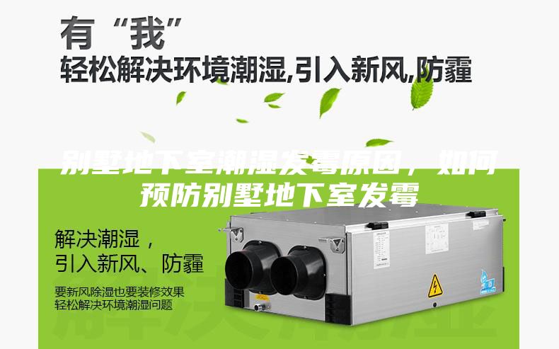 別墅地下室潮濕發(fā)霉原因,如何預(yù)防別墅地下室發(fā)霉