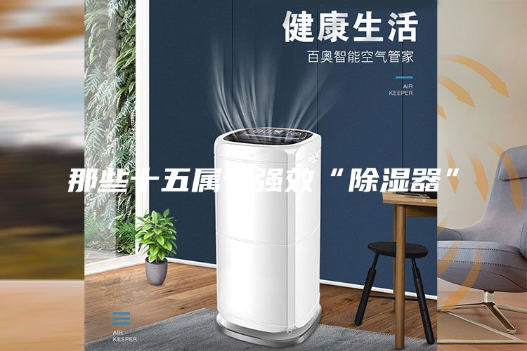 那些十五屬于強效“除濕器”
