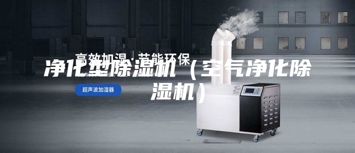 凈化型除濕機(空氣凈化除濕機)