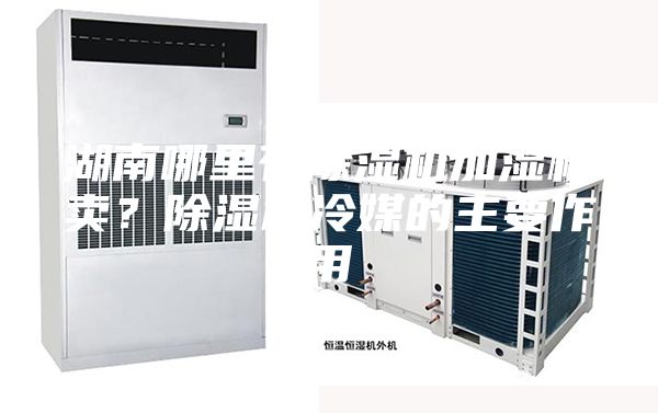 湖南哪里有除濕機加濕機賣？除濕機冷媒的主要作用