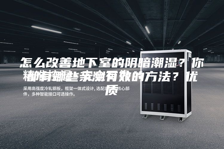 怎么改善地下室的陰暗潮濕?你都有哪些親測有效的方法?優質