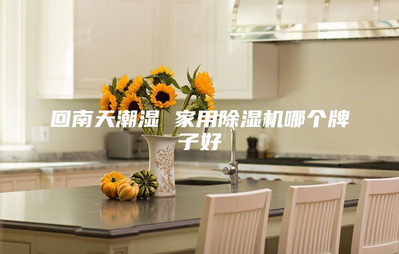 回南天潮濕 家用除濕機(jī)哪個(gè)牌子好