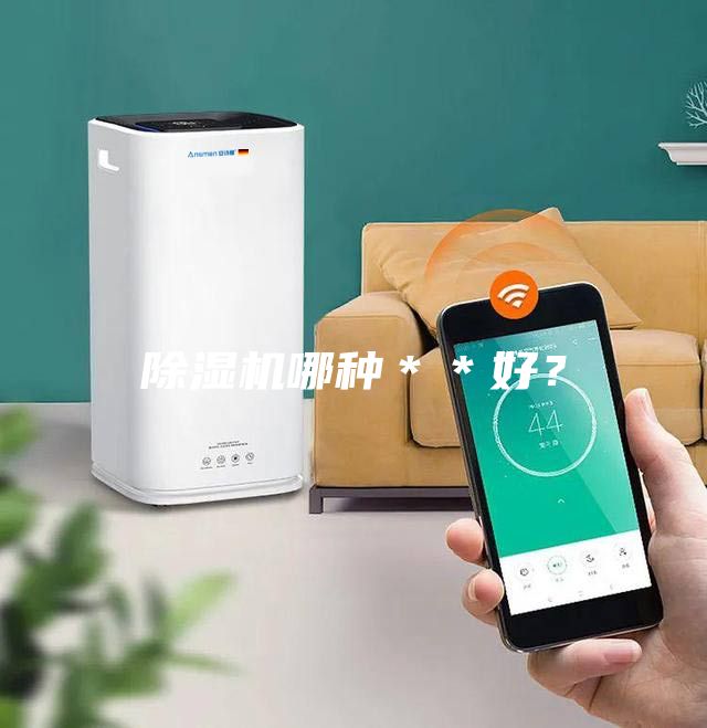 除濕機(jī)哪種**好?
