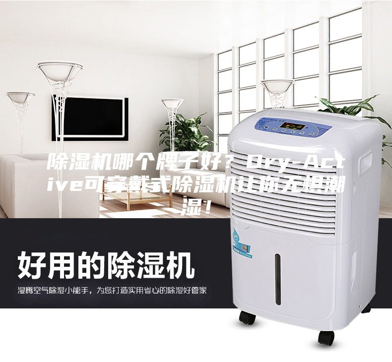 除濕機哪個牌子好?Dry-Active可穿戴式除濕機讓你無懼潮濕!