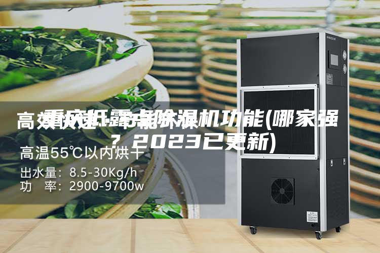 重慶低露點除濕機(jī)功能(哪家強(qiáng)?2023已更新)