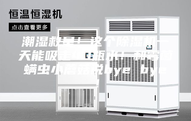 潮濕救星！這個除濕機一天能吸走40瓶水！和霉菌螨蟲小蘑菇說bye bye！