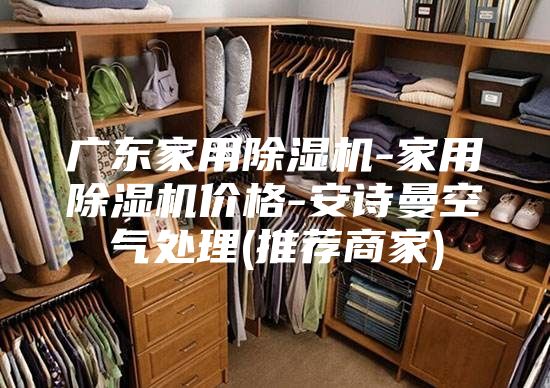 廣東家用除濕機(jī)-家用除濕機(jī)價(jià)格-安詩(shī)曼空氣處理(推薦商家)