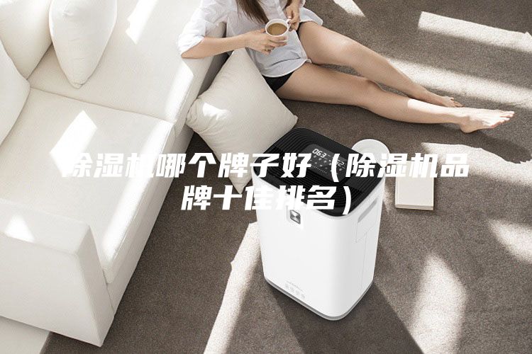 除濕機(jī)哪個(gè)牌子好（除濕機(jī)品牌十佳排名）