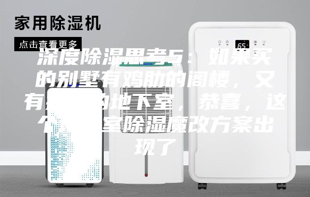 深度除濕思考5:如果買的別墅有雞肋的閣樓,又有操心的地下室,恭喜,這個地下室除濕魔改方案出現了