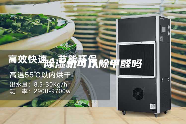 除濕機可以除甲醛嗎