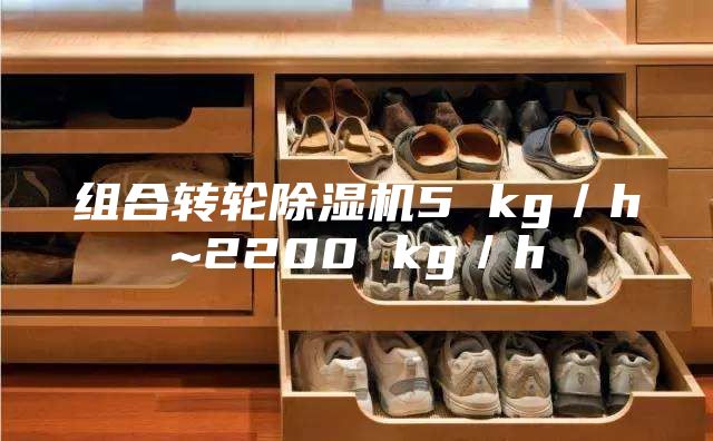 組合轉輪除濕機5 kg/h~2200 kg/h