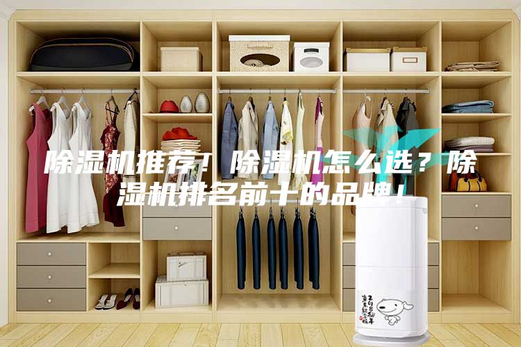除濕機推薦!除濕機怎么選?除濕機排名前十的品牌!