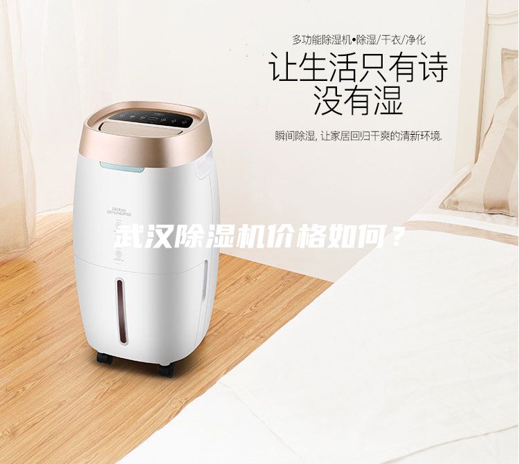 武漢除濕機價格如何?