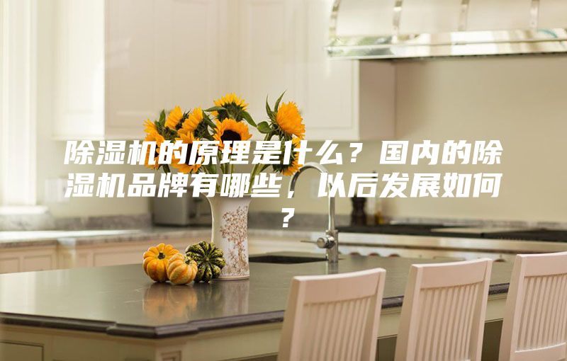 除濕機的原理是什么？國內(nèi)的除濕機品牌有哪些，以后發(fā)展如何？