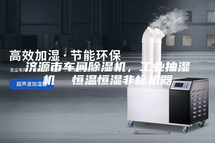 濟(jì)源市車(chē)間除濕機(jī),工業(yè)抽濕機(jī) 恒溫恒濕非標(biāo)機(jī)器