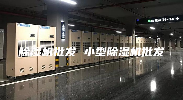 除濕機(jī)批發(fā) 小型除濕機(jī)批發(fā)