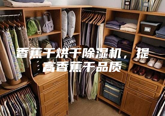 香蕉干烘干除濕機(jī)，提高香蕉干品質(zhì)