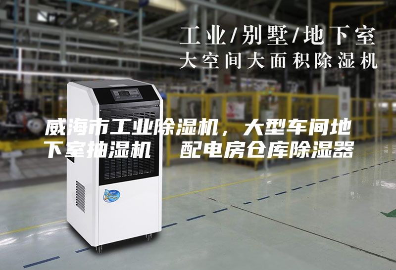 威海市工業(yè)除濕機(jī),大型車間地下室抽濕機(jī) 配電房倉庫除濕器