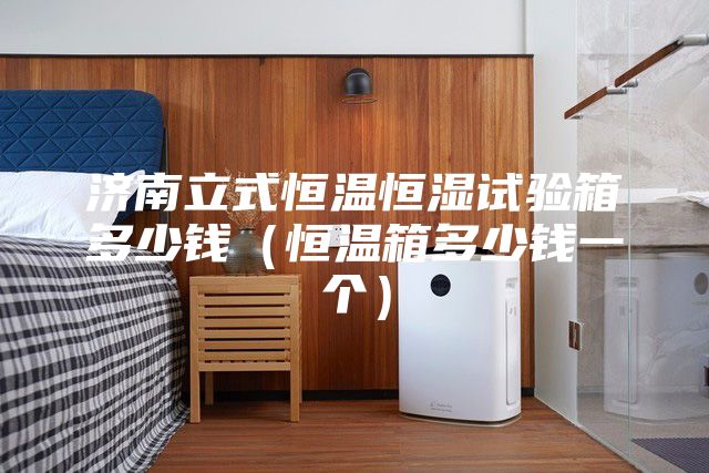 濟(jì)南立式恒溫恒濕試驗(yàn)箱多少錢（恒溫箱多少錢一個(gè)）