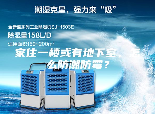 家住一樓或有地下室,怎么防潮防霉?
