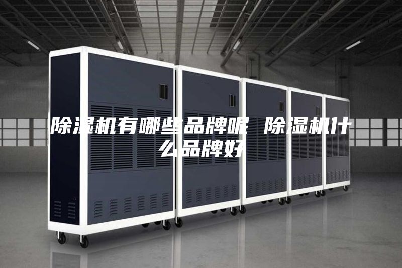 除濕機有哪些品牌呢 除濕機什么品牌好