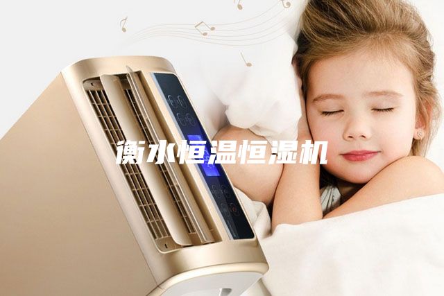 衡水恒溫恒濕機(jī)