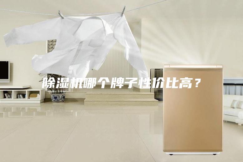 除濕機(jī)哪個(gè)牌子性價(jià)比高?