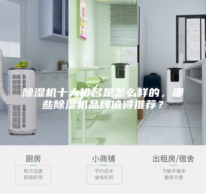 除濕機(jī)十大排名是怎么樣的，哪些除濕機(jī)品牌值得推薦？
