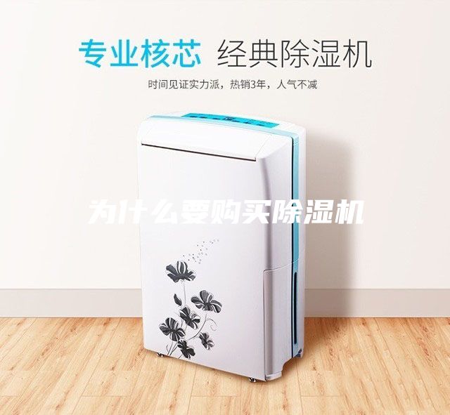 為什么要購(gòu)買(mǎi)除濕機(jī)