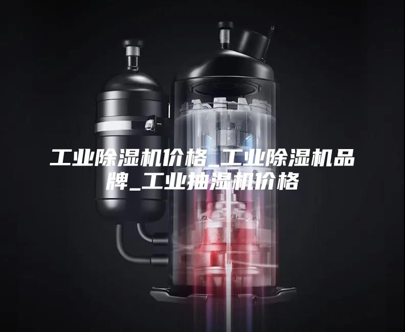 工業(yè)除濕機價格_工業(yè)除濕機品牌_工業(yè)抽濕機價格