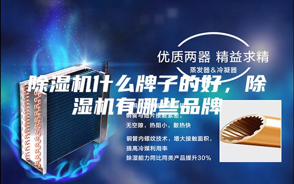 除濕機什么牌子的好，除濕機有哪些品牌