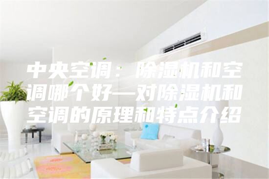 中央空調(diào)：除濕機(jī)和空調(diào)哪個(gè)好—對除濕機(jī)和空調(diào)的原理和特點(diǎn)介紹