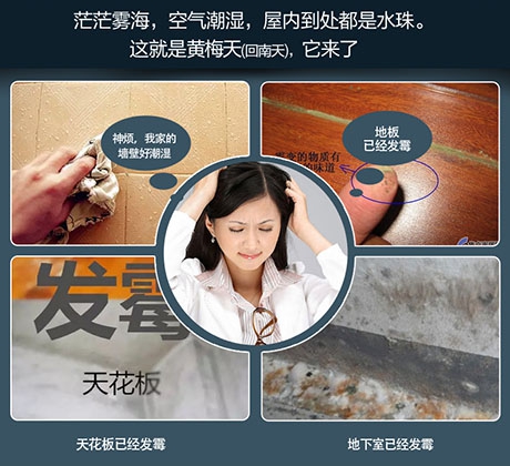 除濕機(jī)除濕效率怎么看才正確?