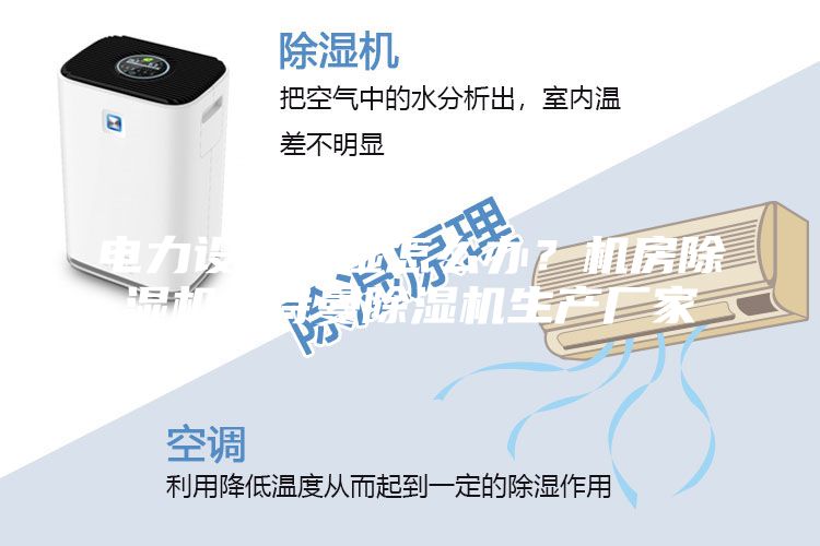 電力設備潮濕怎么辦？機房除濕機安詩曼除濕機生產(chǎn)廠家