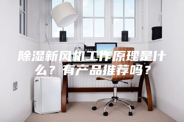 除濕新風機工作原理是什么？有產品推薦嗎？
