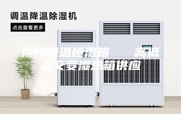 柳州恒溫恒濕箱 高低溫交變濕熱箱供應(yīng)