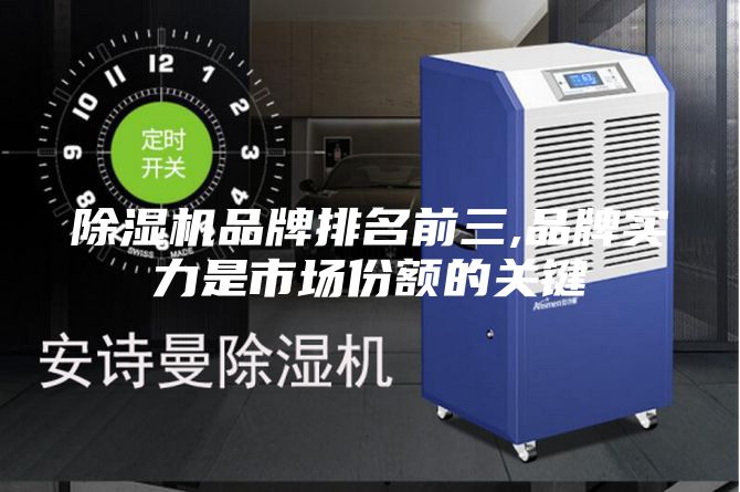 除濕機(jī)品牌排名前三,品牌實(shí)力是市場份額的關(guān)鍵