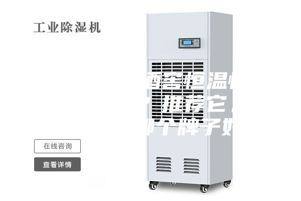 你知道進(jìn)口酒窖恒溫恒濕機(jī)的品牌嗎？推薦它。恒溫恒濕機(jī)哪個牌子好？